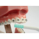 Межзубная щетка с ершиком, Oral-B